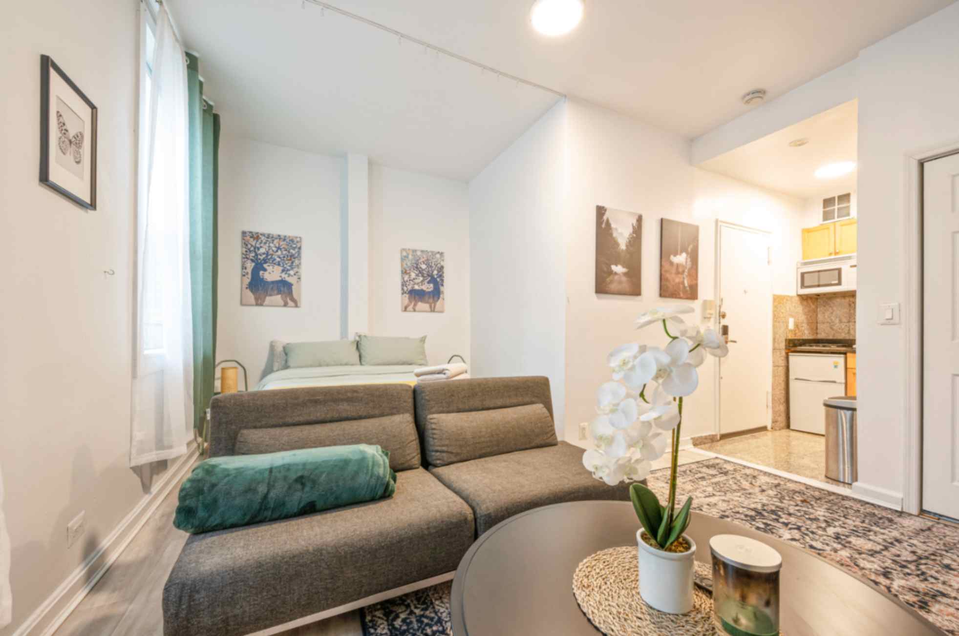 Newly renovated Studio in Murray Hill